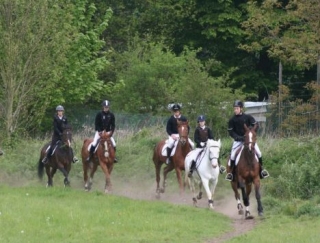 Entrainement au centre equestre pres de Lille